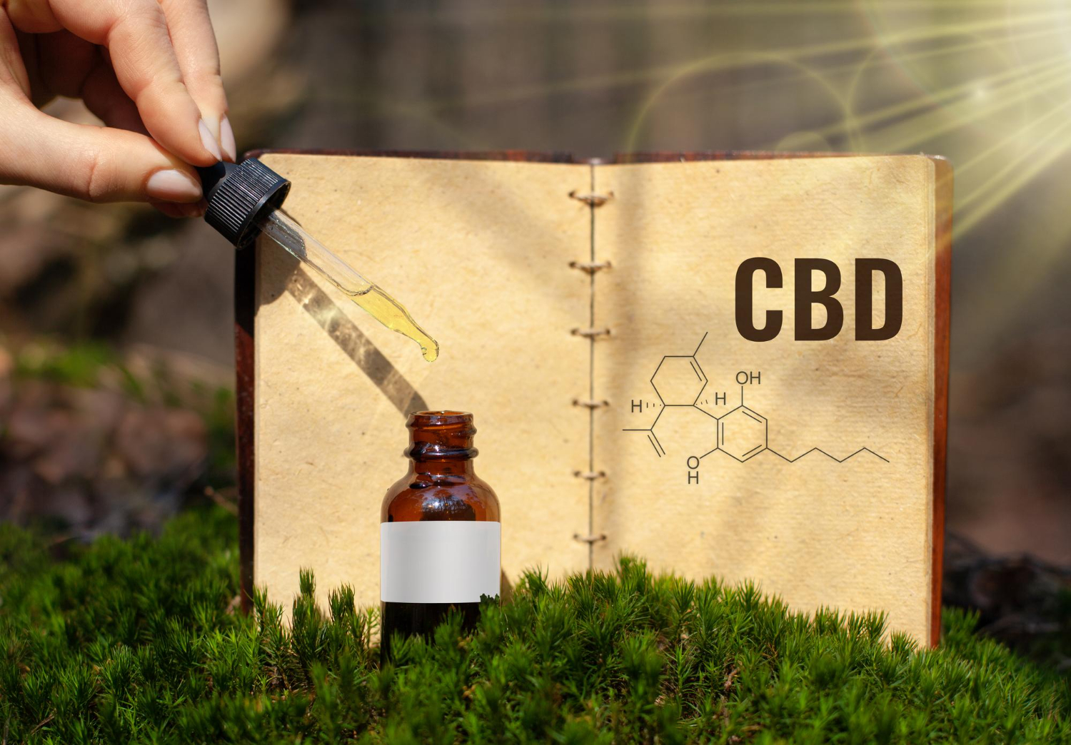 CBD notepad